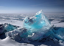 惨烈！小龙团妮蔻绕后，两边打出4换4